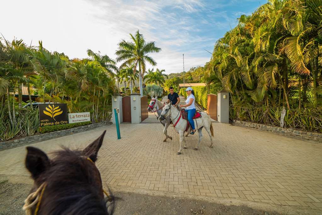 Hotel Palma De Oro Punta Islita エクステリア 写真